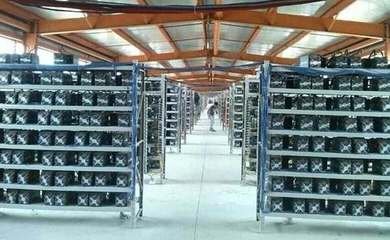 An expansive mining farm layout featuring multiple miners dedicated to Ethereum and Bitcoin, highlighting efficient facility standards for optimal performance